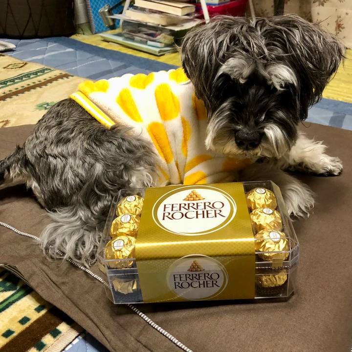 E6a36f7b 4b19 40ae a334 55ee2ee230ae 1707394822887