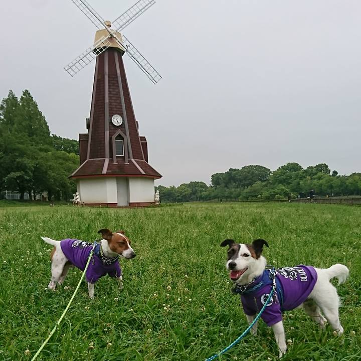 E6a3747f b7ca 4561 8e4f c0aa37cb3445 1592141435193