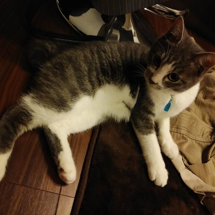 E6a4037f 0d73 4866 8c0f 555652423f1e 1573306436520