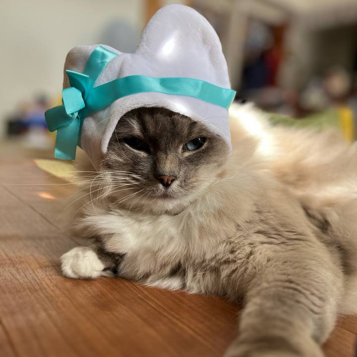 E6a416ac d674 469d 882a 7ba1784a3b51 1676374604406