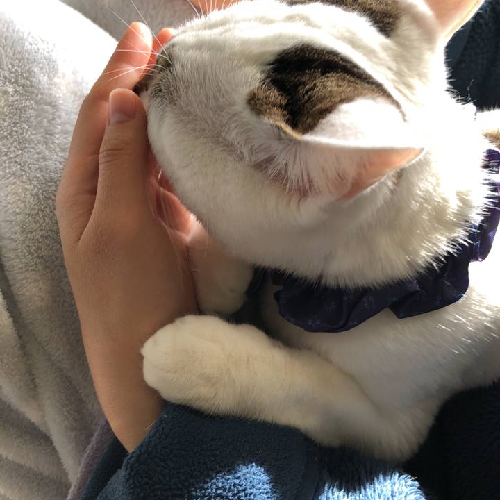 E6a43016 b562 4fd6 b1f4 a7e98d17d81b 1517199668881