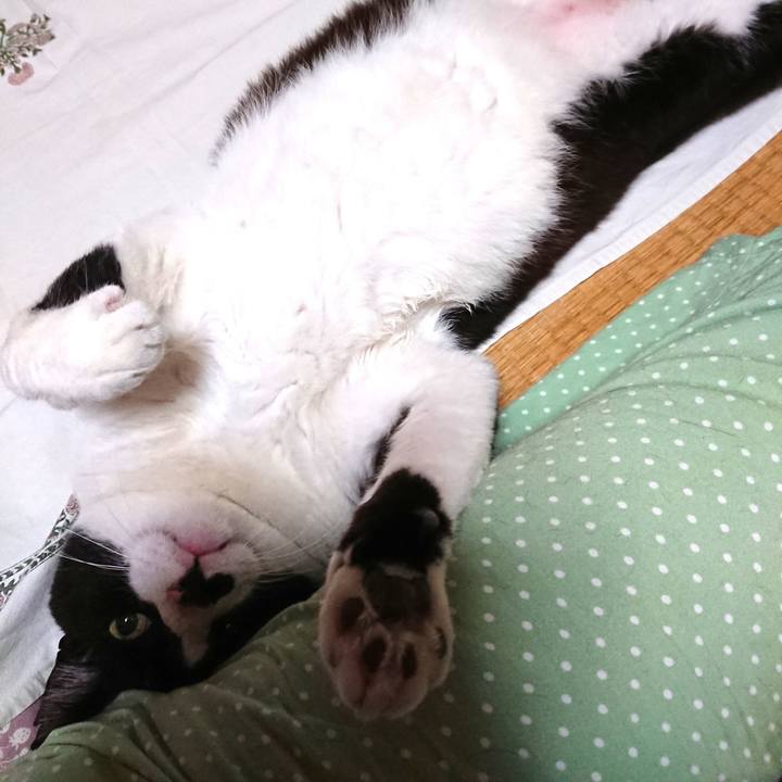 E6a43081 110a 4f58 afab a4d550b07552 1592222108297