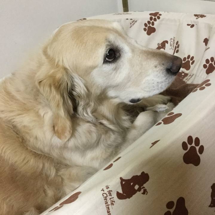 E6a431ab d298 41a4 8c44 a80ca11e39ad 1550544818932