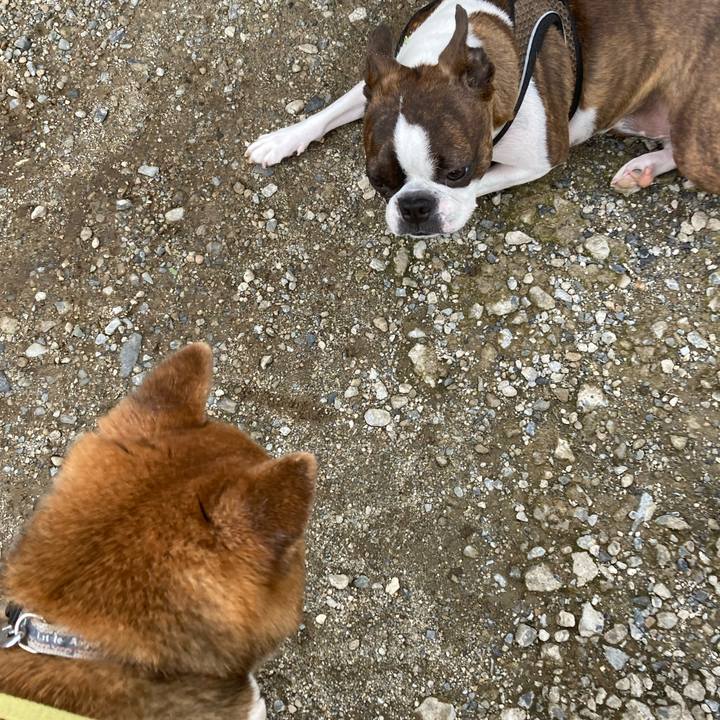 E6a4372b ab51 4fa2 bc2c 3cd1fc755074 1718007346161