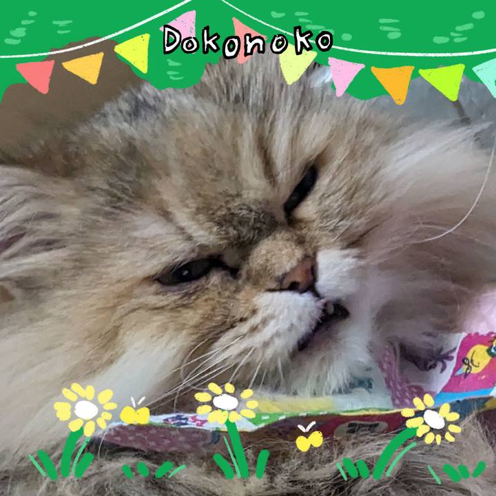 E6a44a1c 18fa 48e8 94cf 8fedc430e360 1711009072463