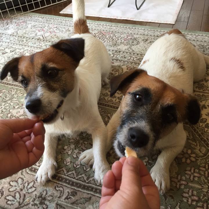 E6a460cb f1bb 4ec8 ada7 4ea2272cd1bb 1527984010865