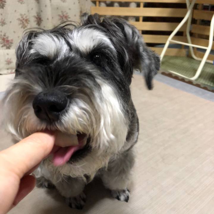 E6a49f79 7d18 409b 8f16 4d8969bbeb9f 1661602837627