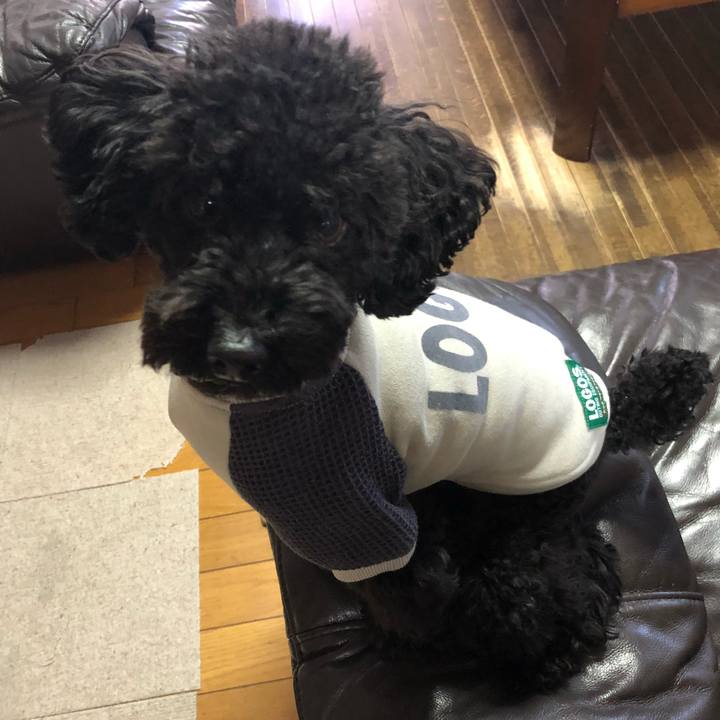 E6a53823 0369 488b b210 3d1345224dde 1544854399837