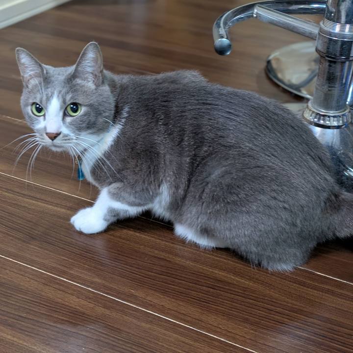 E6a55dba 3bc7 42bb 9cbd aceadb011d41 1734259793470