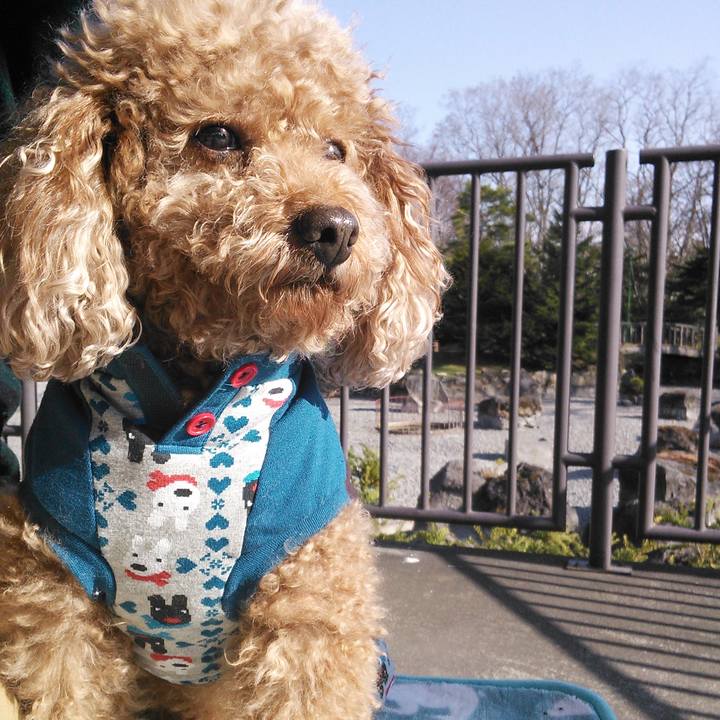 E6a57ae6 54d8 437a 93c8 c1b66184e0af 1539866631613