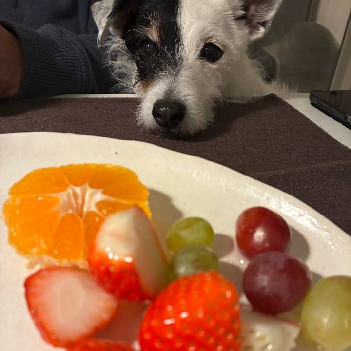 E6a57df4 dbf4 487c ba93 0d65eed4126b 1769860646986