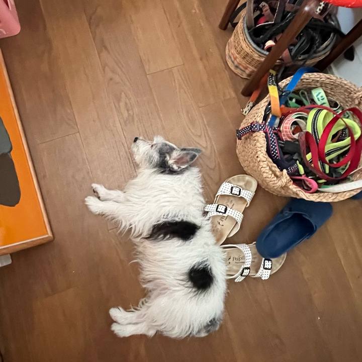 E6a58f57 1a38 49a8 8ed9 e4e152dff6a7 1656933507300