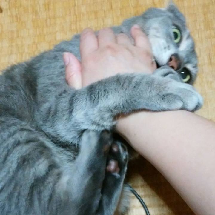 E6a59f66 d642 40b2 8c44 30de760dfcea 1589366708736