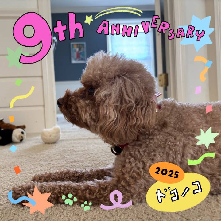 E6a5cc31 7f63 477d bb38 c38f10607c4f 1749250160142