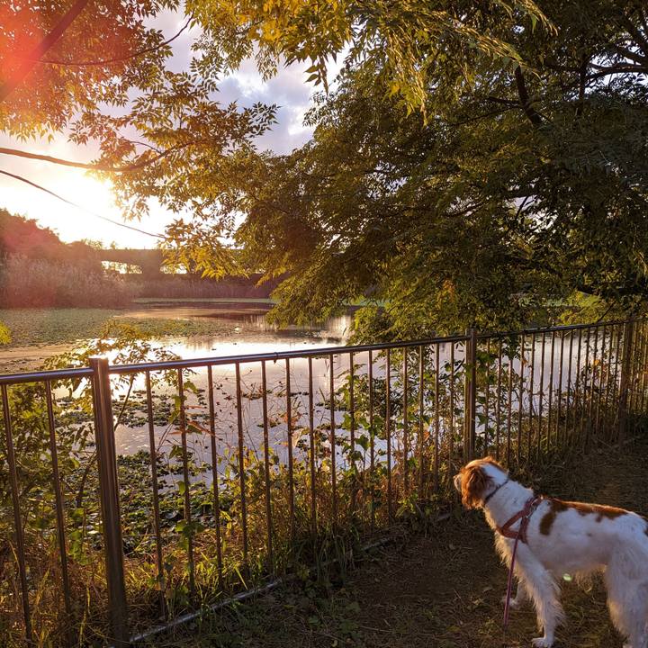 E6a5f617 d9cf 4a85 a458 134cf1358b9a 1667647641949