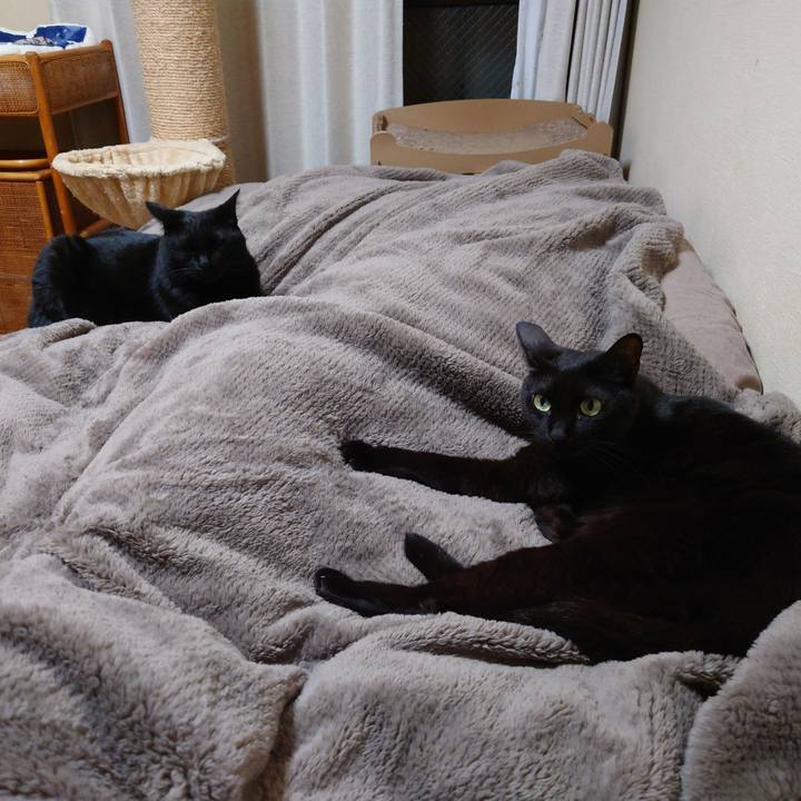 E6a6172d 7100 467b ab8c b68d2202b0b8 1761835472561