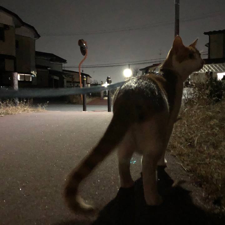 E6a627df 8182 4fe7 9c02 56462ee62e51 1551613978739