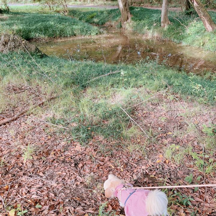 E6a6617d 42d1 432a a982 b246fe59fde3 1665821260365