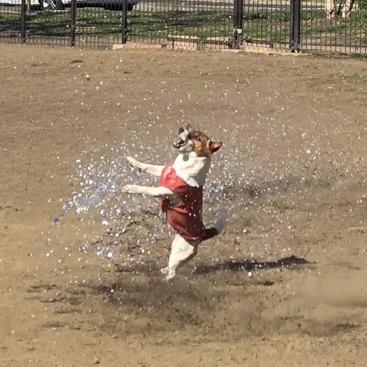 E6a67fa2 ada7 488f 84eb 0ef4337b272e 1771685426401