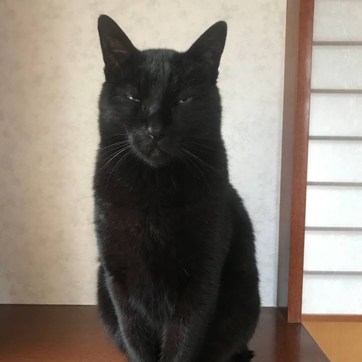 E6a68853 c760 4ffd 91dd 9280b8b28317 1521768016758