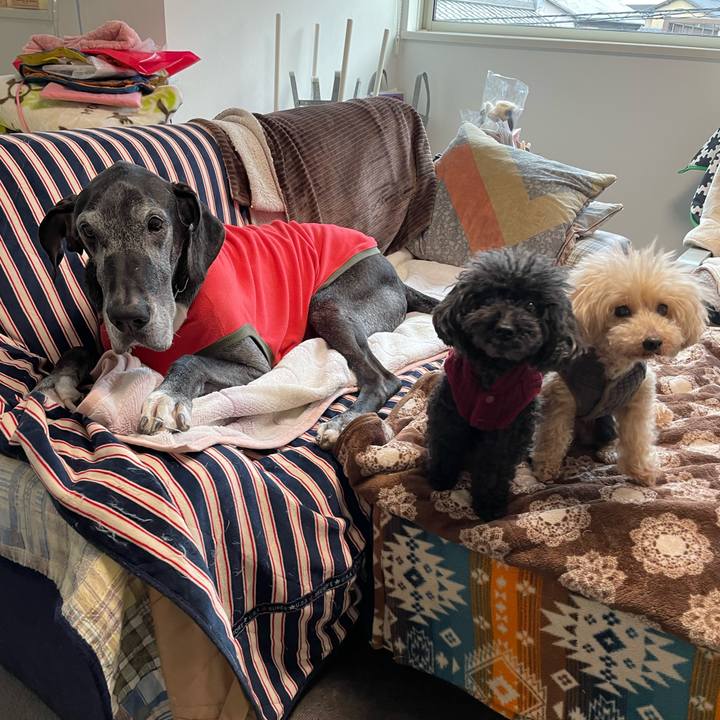 E6a68f2d 4632 451a b59f 73f1956482d3 1646177868401