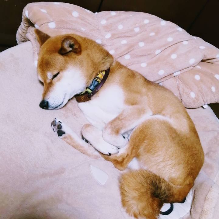 E6a6a5f3 5060 4c66 9f59 f161b7601736 1619701129499