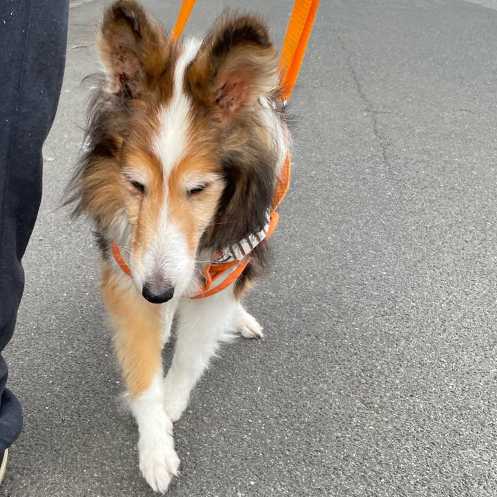 E6a6d68d 1462 499d 86cc 70d45003e472 1656922152261