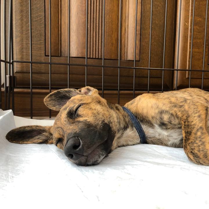 E6a7035f 5130 4e10 be79 9ff58b8fb295 1569326300047