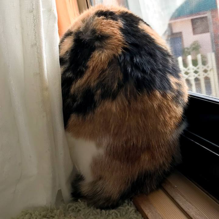 E6a70e05 3ad7 4461 ae7a 7aae1c54033d 1517272573457