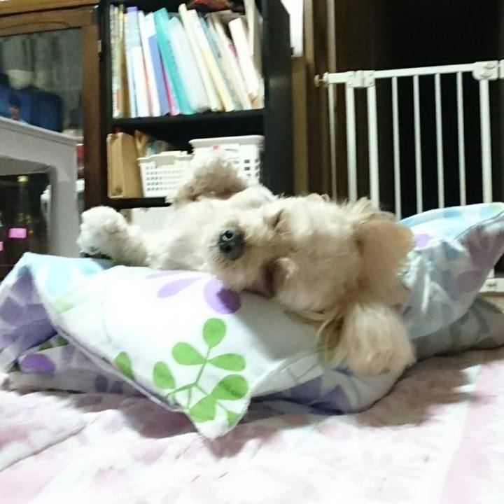 E6a71853 fd31 4cf1 bb36 d26759ea7186 1572271527287