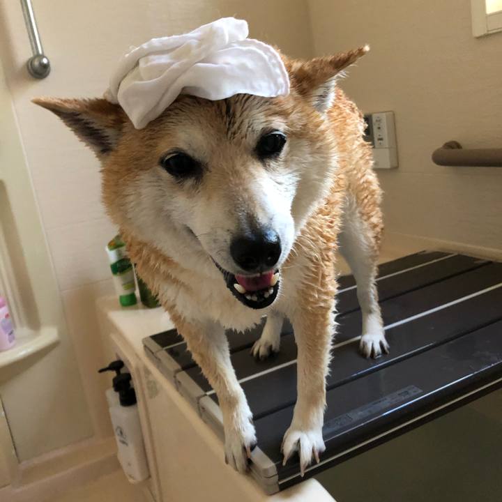 E6a73d3d 0e62 4204 ac92 1b8ba40f0e61 1590325022368