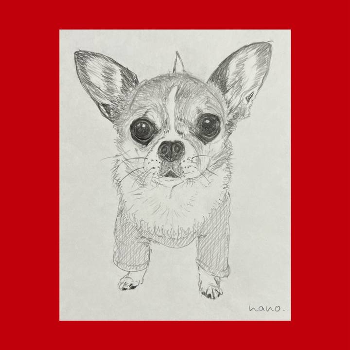 E6a74ac0 cc6a 4574 a1dc d41d2bf6bbf1 1668900529997