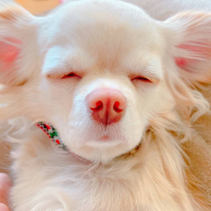 E6a74d4a 5eff 479e bbc0 2924d7e56ef4 1644579251173