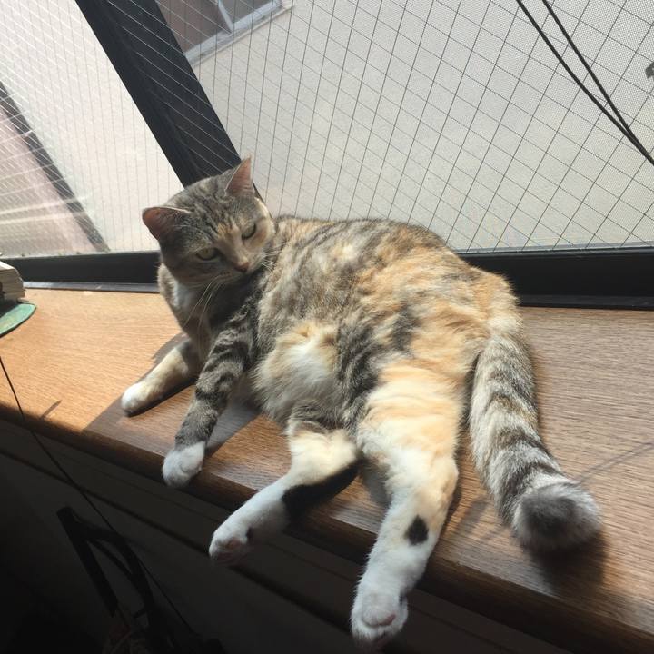 E6a75479 e6be 4f55 be64 f0d64c69e420 1557109570821