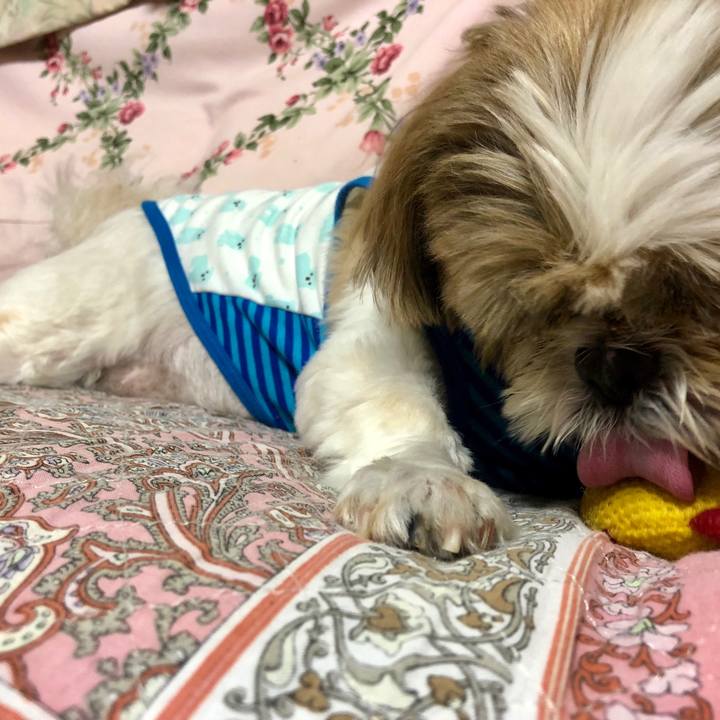 E6a757ac 4dc3 47ba 9eb2 551b409a3cbb 1537957569731