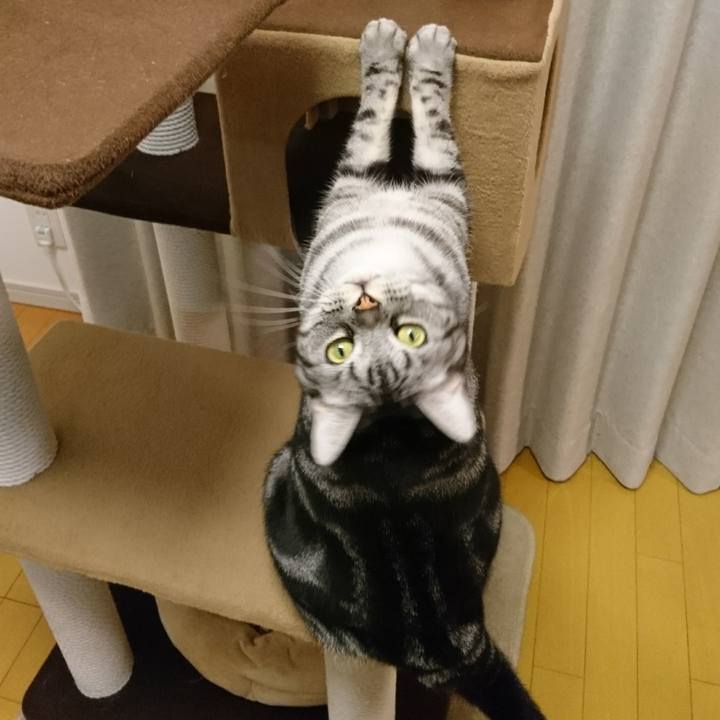 E6a7a9ee 2029 4406 a6bf 25f4f574cd06 1513125369945