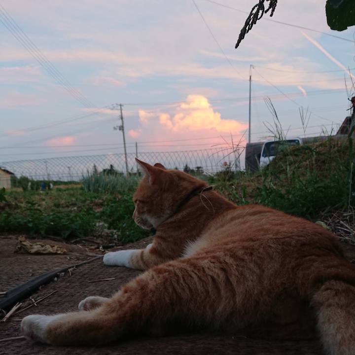 E6a7b2ea 9a39 498a 9e98 95299be93d17 1565690765898