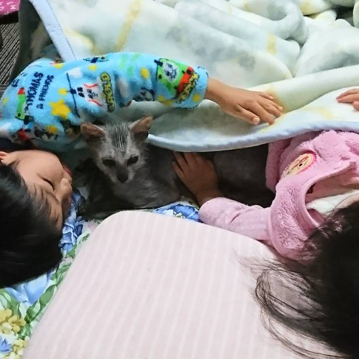 E6a7ca37 7a49 4539 96f9 3395dd926e4c 1515558117216