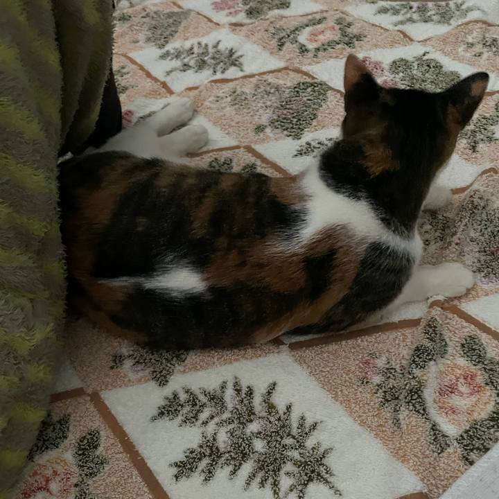 E6a7f32d e015 4f07 a929 7e8f0b508e34 1667111255738