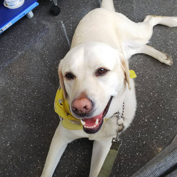 E6a8004f 0e87 4da0 9e50 4c1019c61be7 1555220392949