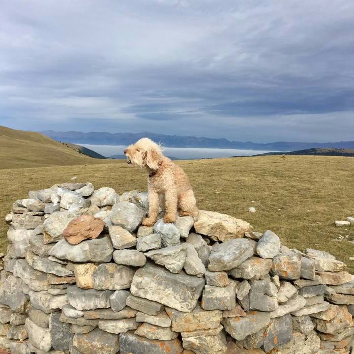 E6a83ed1 41df 4192 84aa e1325136fa63 1575378087573