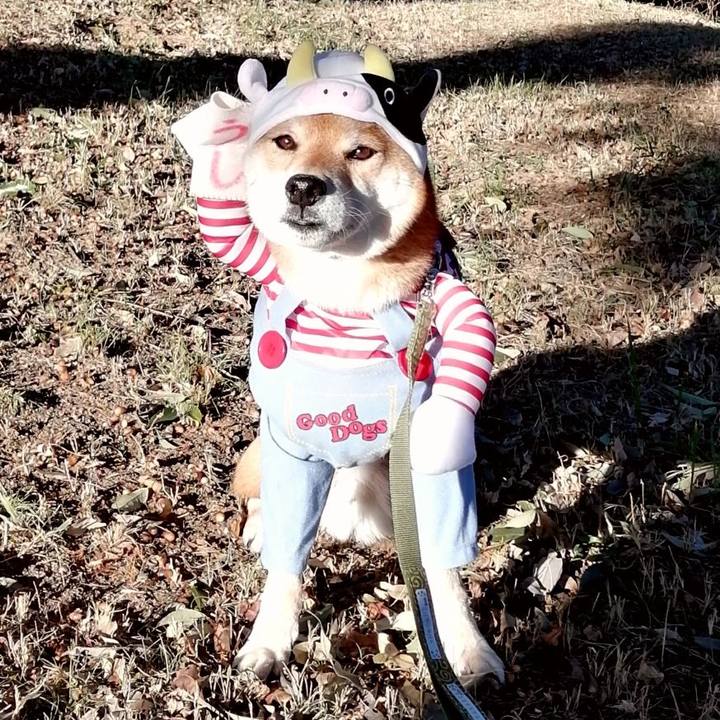 E6a841d2 3cfc 412d 8f39 fca5c00114b1 1609483891110