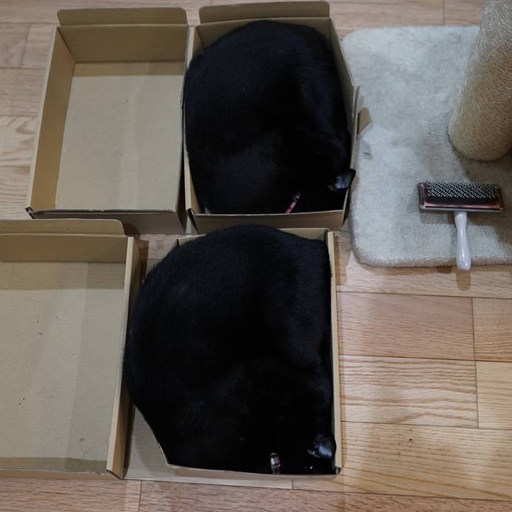 E6a84a18 fa00 404f 9927 e9ddfce11b1d 1560292767510