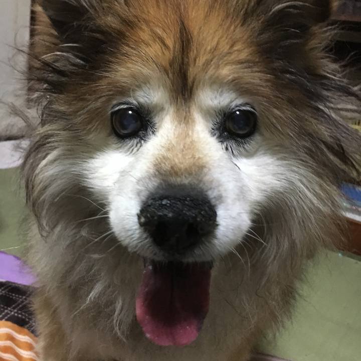 E6a87d45 55ab 4efd 9d59 7d125efd9df0 1624087101978