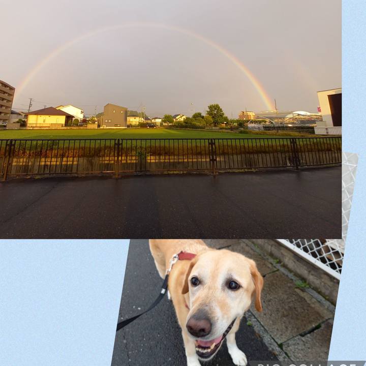 E6a87f6c 3567 4ee6 8abd 982fa5ead247 1655900026841