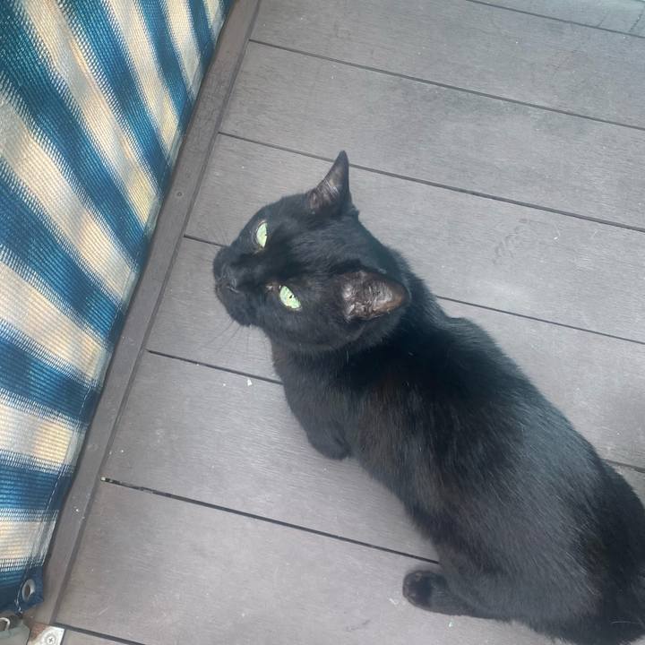 E6a899e9 1290 4c5f 9a09 966204fc79bd 1748752335464