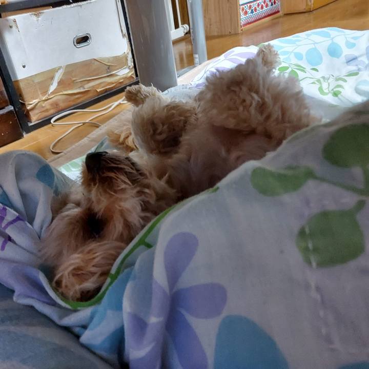 E6a8a4e0 2f57 4319 97e9 7226fec781f2 1629322795118