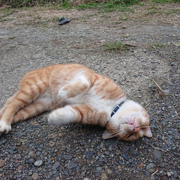 E6a8b136 085e 482e a89e ed552efdf3da 1602316277616