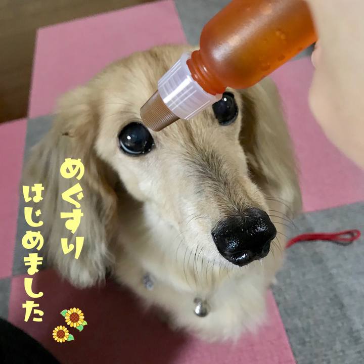 E6a8b6b4 45c5 4155 a3e6 875467114853 1566343522906