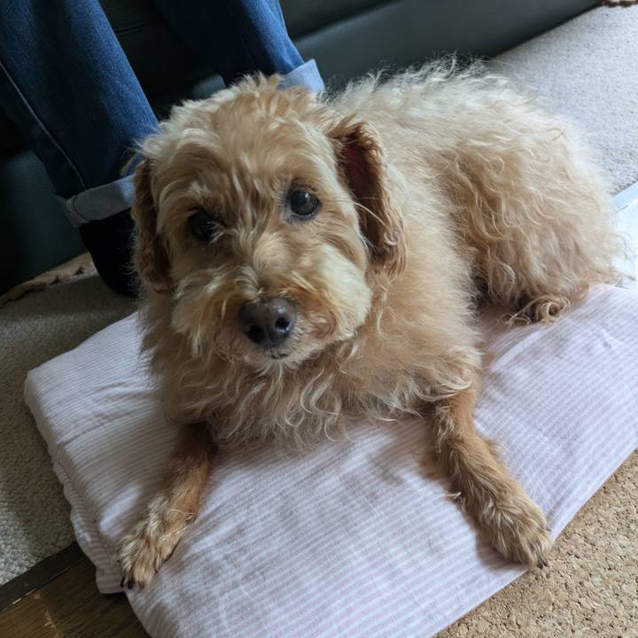 E6a8ce47 c25f 4f2c b29a 842af08f7fd1 1722217532411